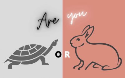 Are you a Rabbit or Tortoise? | Story of a Guy Struggling in his Profession