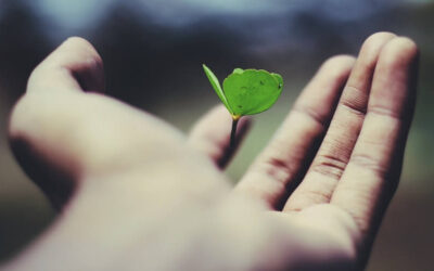 Want to Know the Best Teacher in the World?